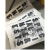SPECIAL INTERESTS "The Essays" zine
